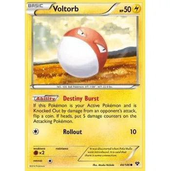 Volný čas Pokémon XY 044/146 Voltorb - XY Stav: Good, Verze: NORMAL