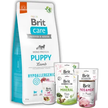 Volný čas BRIT PACK - PUPPY PACK - Zdravý balíček pro štěně
