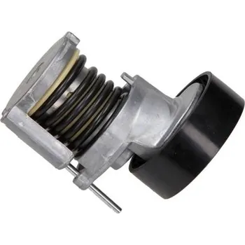 Rozvod motoru MAXGEAR 54-0553 Napinaci rameno, zebrovany klinovy remen (54-0553)