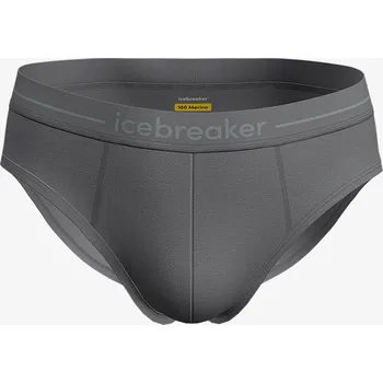 Slipy Termo slipy Icebreaker Anatomica Briefs - jet hthr