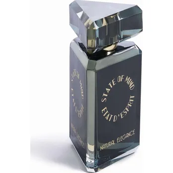 Unisex parfém State of Mind Natural Elegance Parfém 100 ml UNISEX