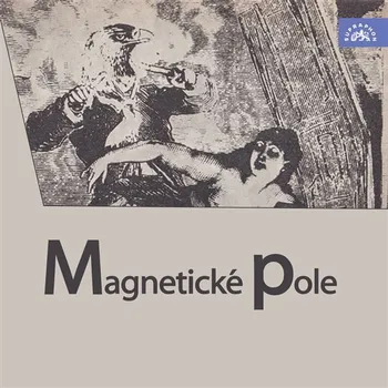 Magnetické pole