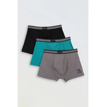 Chlapecké spodní prádlo Reporter Young | Chlapecké barevné boxerky s ozdobnou gumou v pase – 3PACK - Barva VÍCEBAREVNÁ, Velikost 158/164 251-0999B-04-900-1