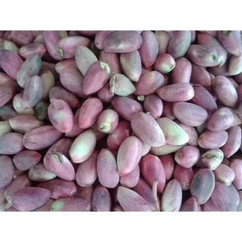 Sazenice Pistácie 'Avdat' - kontejner Balení: kontejner C5, Podnož: UCB1