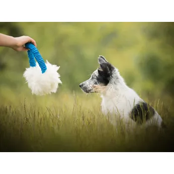 Hračka pro psa Sweet Energy.cz Ovčí Ring bungee Barva: modrá, Velikost: L