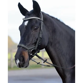 BUSSE Uzdečka Emotion BUSSE, black/crystal PONY