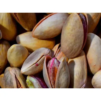 Sazenice Pistácie 'Joley' - kontejner Balení: kontejner C5, Podnož: UCB1