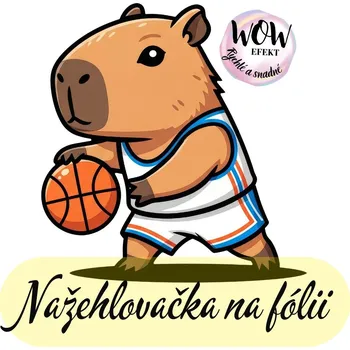 Nažehlovačky na fólii Nažehlovačka na fólii, KAPYBARA - basketbalista, 1 kus Zvolte VELIKOST motivu ZDE:: Menší
