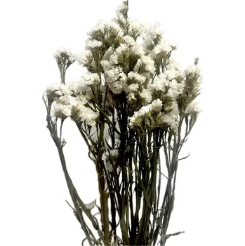 umělá květina Dovoz z EU Statice sušená bílá 75cm