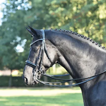 BUSSE Uzda Luxury BUSSE, black/crystal grey FULL