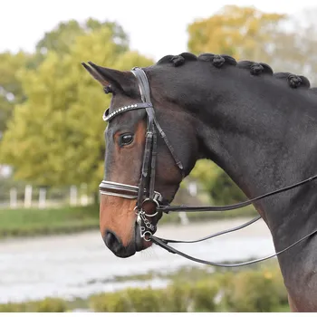 BUSSE Uzda Luxury BUSSE, brown/cream/crystal pearl COB