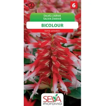 Semeno Šalvěj zářívá Bicolour bíločervená 0,1g - OSIVA MORAVIA EXPIRACE