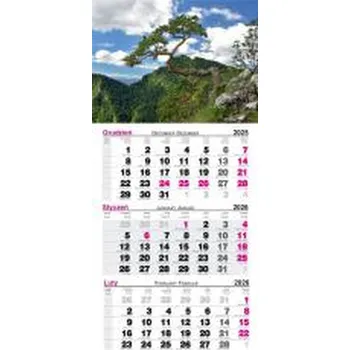 Kalendář Kalendarz 2026 ścienny trójdzielny Pieniny
