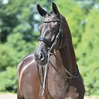 BUSSE Uzda Massa BUSSE, black/gloss crystal COB