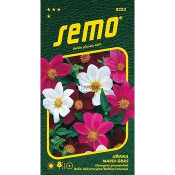 Semeno Semo Smržice Jiřinka proměnlivá - Mardi Gras 0,3g EXPIRACE