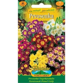 Pěstitelství Nohel Garden Prvosenka vyšší, směs GARDENIE - NOHEL GARDEN EXPIRACE