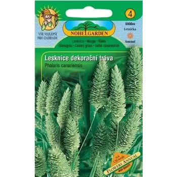 Pěstitelství Lesknice kanárská - dekorační tráva - NOHEL GARDEN EXPIRACE