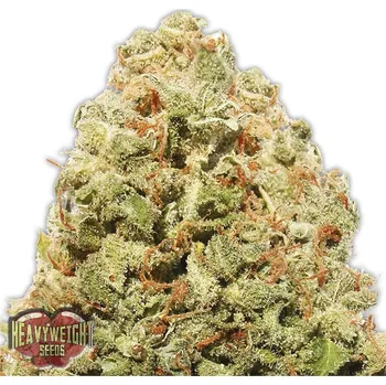 Semeno Heavyweight Seeds - Strawberry Cake 3 ks