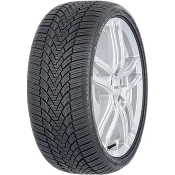 Zimní osobní pneu Arivo Winmaster ProX ARW 3 225/55R16 95 H
