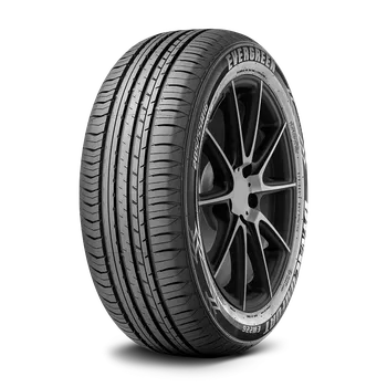 Letní osobní pneu Evergreen DynaControl EH226 195/65R15 91 V