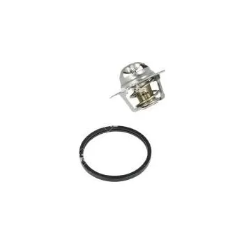 Těsnění motoru Termostat, chladivo NRF 725104