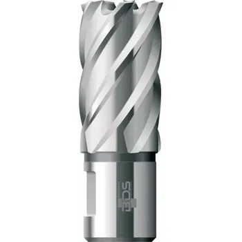 Vrták Vrták jádrový 60/30mm HSS Weldon BDS