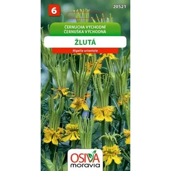 Semeno Černucha východní žlutá_0,8 g OSIVA MORAVIA EXPIRACE