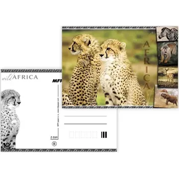 MFP paper s.r.o. Pohlednice - zvířata Afriky Gepard