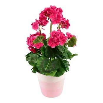 umělá květina Muškát růžový v keramickém květináči 40×25 cm