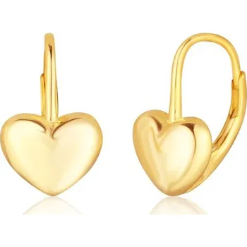 Náušnice Náušnice JVD SVLE2897XF6GO00 stříbrné