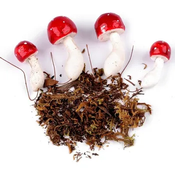 umělá květina Umělé muchomůrky na drátku s mechem - červená