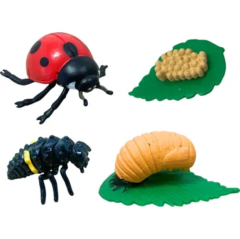 Figurka ANIMAL LIFE figurky životní cyklus Beruška