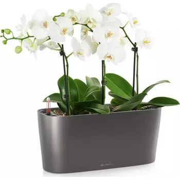 Květináč Plast Květináč , šedý, Lechuza 30 cm x 11 x 13 cm