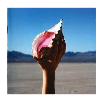 Zahraniční hudba CD The Killers: Wonderful Wonderful 2022