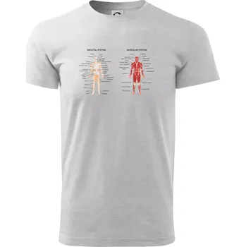 Pánské tričko Skelet and Moscular system - Triko extra velké (5-8XL) - 7XL ( Světlešedý Melír )