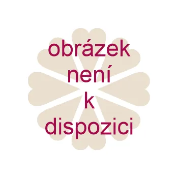 Dámská košilka DKaren Viki tyrkysová tyrkysová L