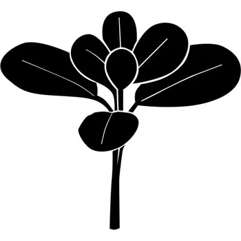 Samolepicí dekorace na vozidlo Samolepka na auto květiny a listy