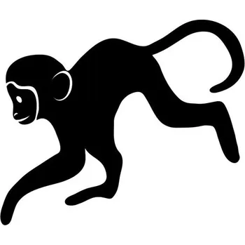 Samolepicí dekorace na vozidlo Samolepka na auto - opička