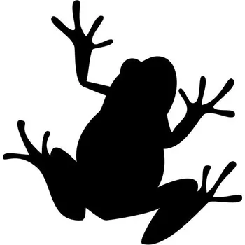 Samolepicí dekorace na vozidlo Samolepka na auto - žába na zeď