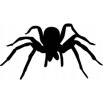 Samolepicí dekorace na vozidlo Samolepka na auto pavouk sklípkan