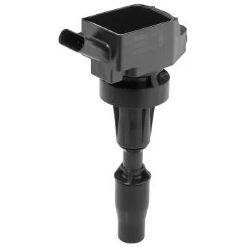 Zapalovací cívka Zapalovací cívka BorgWarner (BERU) ZSE301