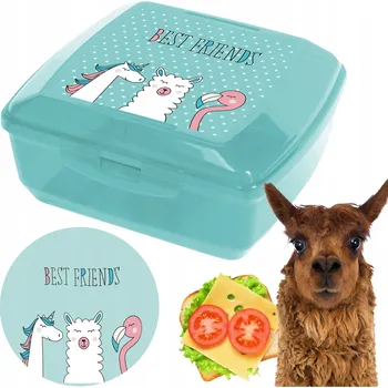 Svačinový box SNÍDAŇOVÝ BOX PRO DĚTI LUNCHBOX NA SVAČINU DĚTSKÝ BOX NA JÍDLO