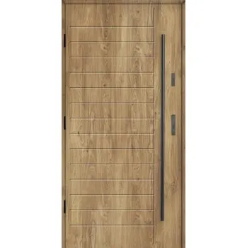 Vchodové dveře KMT Vchodové dveře KMT 54 PLUS model 19