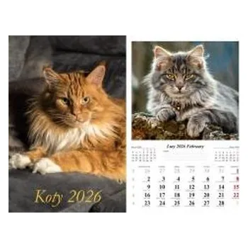 Kalendář Kalendarz 2026 ścienny Koty (pl, 2000, Radwan)