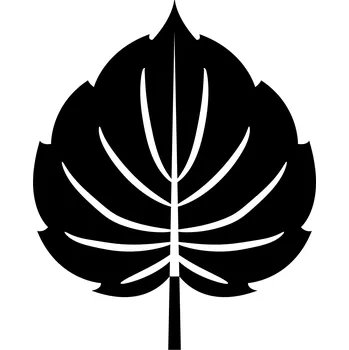 Samolepicí dekorace na vozidlo Samolepka na auto dubový list 3D