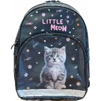 Školní batoh Školní batoh vícekomorový Paso vícebarevný