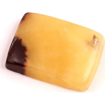 Sběratelství Kabošon Septarian č.3572 (28x21x7mm)