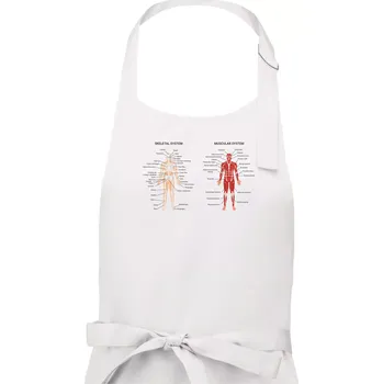 Kuchyňská zástěra Skelet and Moscular system - Dámská zástěra na vaření - Univerzální velikost ( Bílá )
