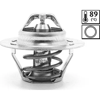 Těsnění motoru Termostat, chladivo VALEO 819862