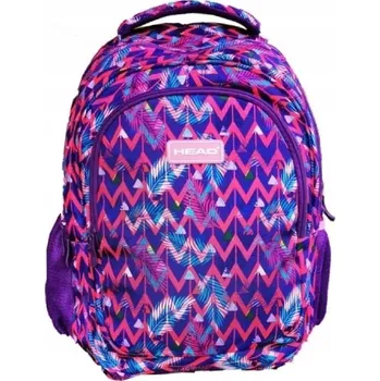 Školní batoh Školní batoh vícekomorový Astra Head fialový, vícebarevný